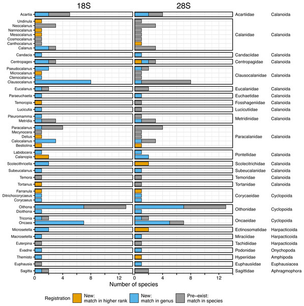 Number of morphologically verified species per genus in registered zooplankton sequences.