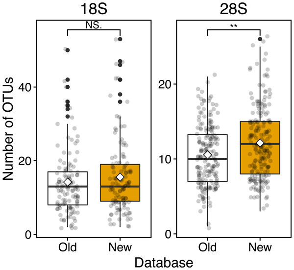 Boxplots of OUT numbers associated with a single zooplankton species detected based on old and new reference databases.