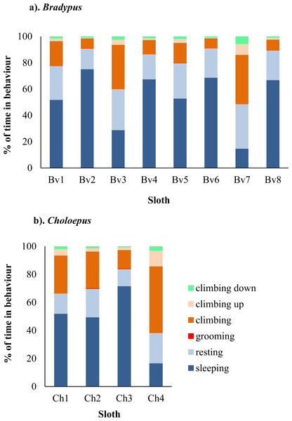 Variation in the percent of time spent in different behaviors for eight wild Bradypus (A) and four wild Choloepus (B) sloths.