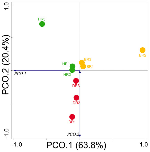 Principal coordinate analysis (PCoA) graph of PGP genes based on the Bray-Curtis dissimilarity grouping.