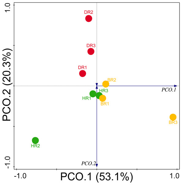 PCoA graph of disease-resistant genes based on the Bray-Curtis dissimilarity matrix.