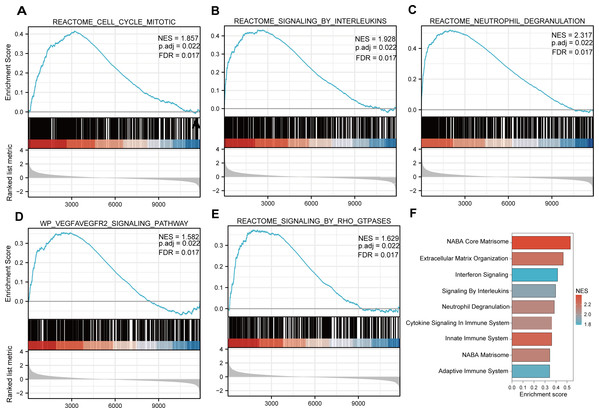 GSEA plots present most enriched gene sets between the control and DN groups.