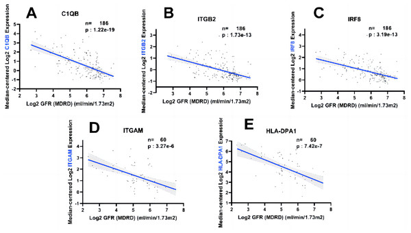 Relationship between five hub genes as biological predictors and renal function.