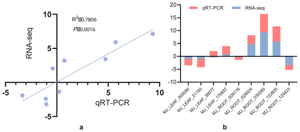 (A) Correlation analysis of screening differential gene RNA-seq and qRT-PCR. (B) Histogram analysis of screening differential gene RNA-seq versus qRT-PCR.