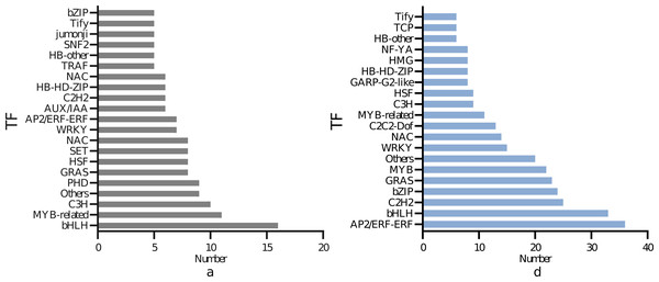 Differential transcription factors of I. bungeana in response to drought stress: (A) Leaf, (B) root.