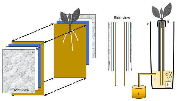 Schematic representation of the semi-hydroponic ebb and flow phenotyping system.