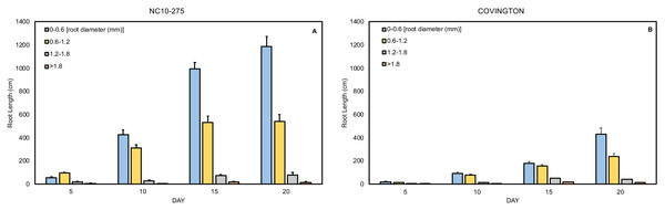 Mean root length distribution by diameter class of (A) ‘NC10-275’ and (B) ‘Covington’ at each sampling day.