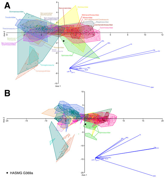 Select results of the discriminant function analysis of the pan-theropodan dataset plotted along the first two canonical axes of maximum discrimination in the dataset.