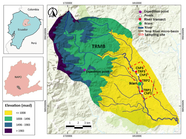 Study area in the Tena River Micro-Basin (TRMB), Napo, Ecuador with the respective terrain elevation.