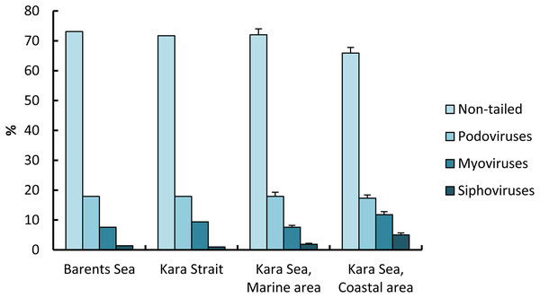 Percentage (mean ± standard error) of viral morphotypes in viral assemblages in the surface water layer of the Barents and Kara seas.