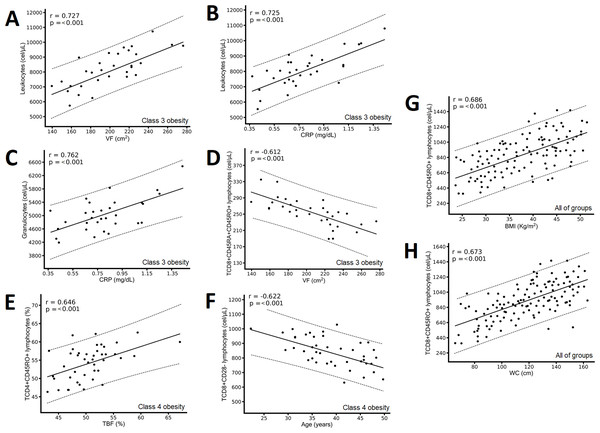 Correlation between immunological variables and the metabolic and clinical variables of the class 3 obesity group, the class 4 obesity group, and the entire study group.