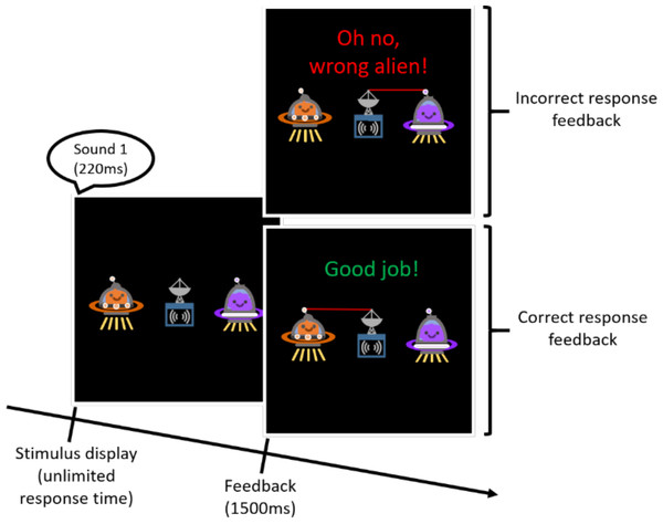 Schematic of stimuli presented during a practice trial.