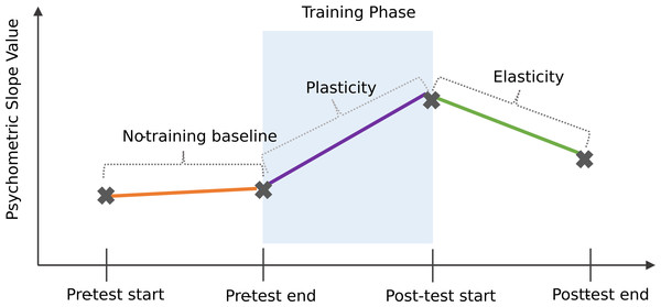 Schematic of a possible learning microstructure across distributional learning task.