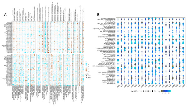 Pan-cancer immune inûltration enrichment analysis based on single genes.