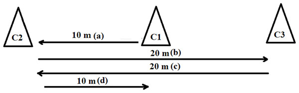 Sprint starts from the middle marker cone (C1).