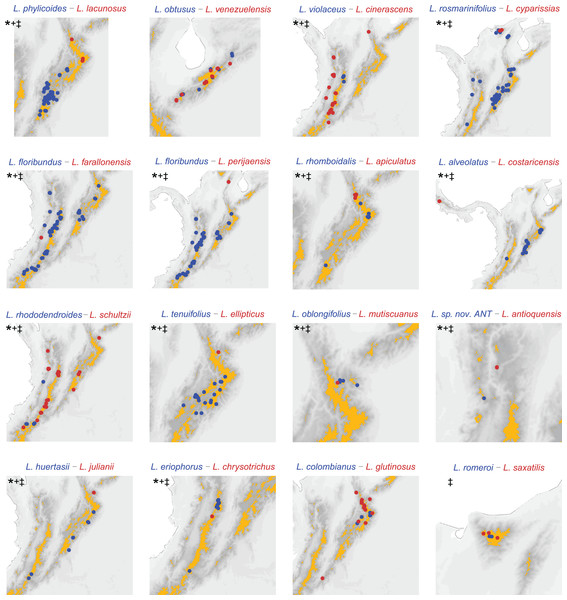 Distribution of sister species based on the phylogeny (Vargas, Ortiz & Simpson, 2017) substituted with missing sampling.