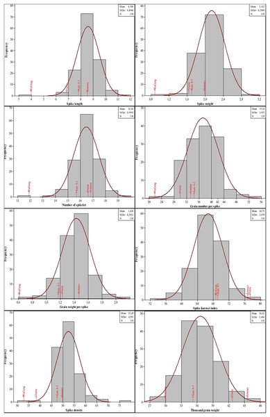 Distribution of the spike characteristics in the four-parental DH population.
