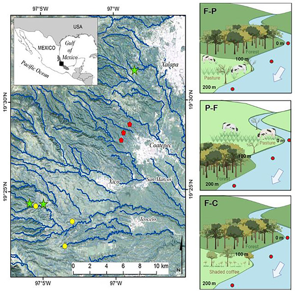Study streams draining different scenarios in the upper La Antigua watershed, Veracruz, Mexico.