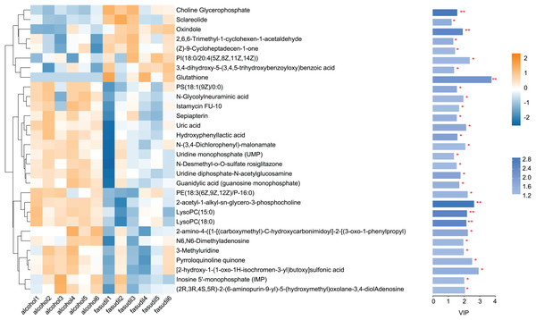 Heatmap of differential metabolites between the alcohol and fasudil groups.