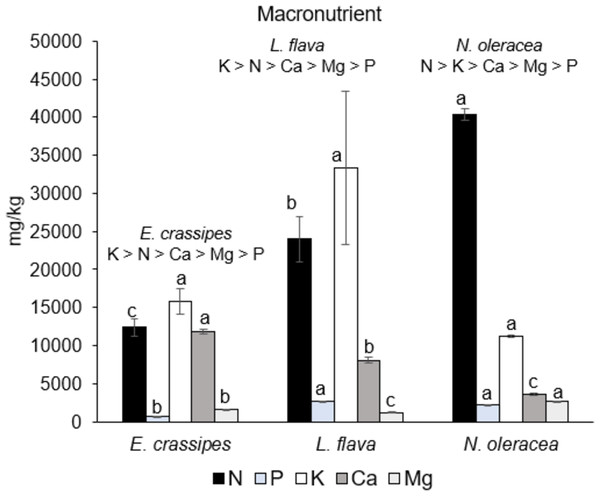 Macronutrient content in the three wild edible freshwater macrophytes.