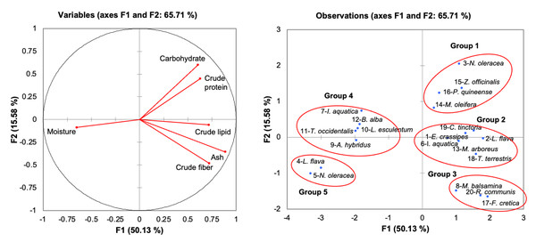 Principal component analysis of freshwater macrophytes with other edible plant species based on their proximate composition.