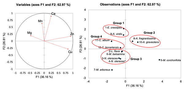 Principal component analysis of freshwater macrophytes with other edible plant species based on their mineral contents.