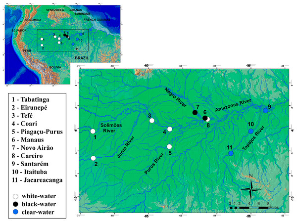 Sampling locations for Semaprochilodus insignis.