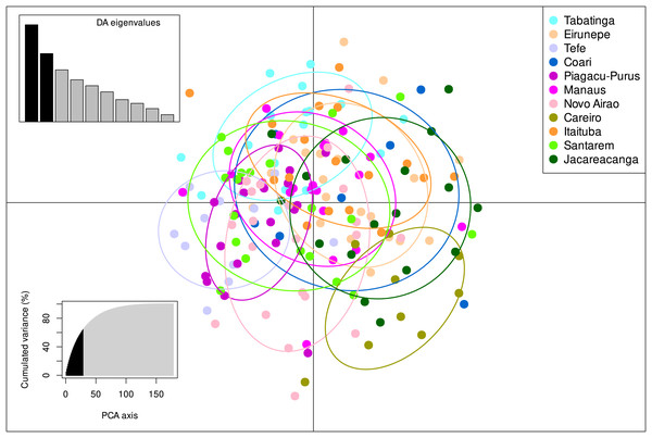 DAPC analysis on eight microsatellite loci of 180 individuals of Semaprochilodus insignis.