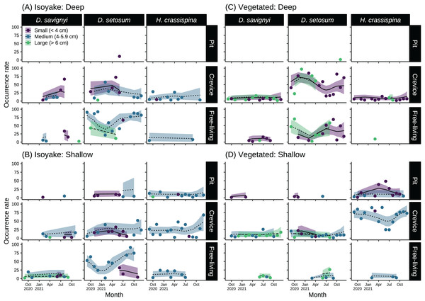 Sea urchin size-classes and their microhabitat preference in the (A) deep and (B) shallow isoyake habitats and the (C) deep and (D) shallow vegetated habitats.