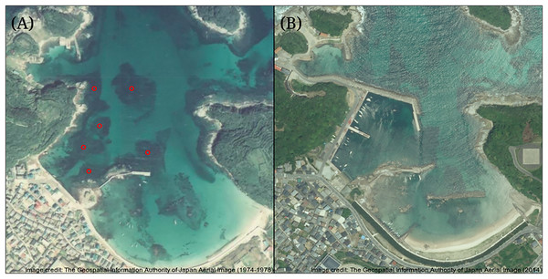 Comparison of the study site pre- and post-coastal development.