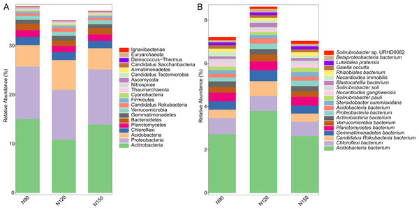 Top 20 taxa in buckwheat rhizosphere at the phylum (A) and species (B) levels.
