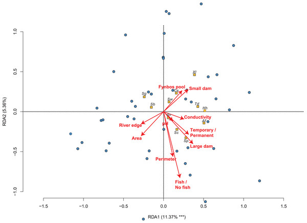 The relationship between 50 sites sampled and their amphibian communities in the Overberg region of South Africa from a reduced redundancy analysis (reduced RDA).