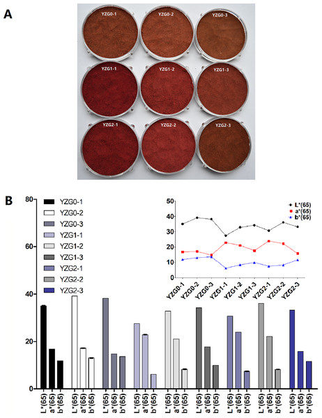 The appearance, L* a* and b* values under different pre-treatment parameters.