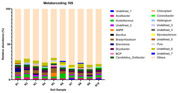 Relative abundance of the top 10 most abundant genera identified by 16S sequencing in each sample.