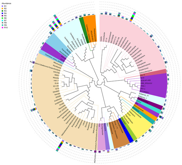 Evolutionary tree of the 100 most abundant genera of fungi across the different samples.