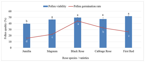 Pollen viability and germination rates of rose species/varieties (Bars show standard error, p ≤ 0.05).