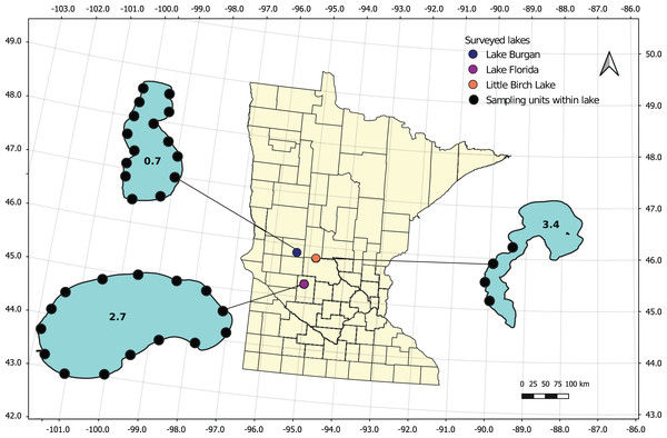 Location of three lakes surveyed in Minnesota during the summer of 2018.