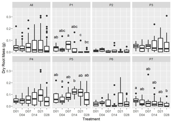 The dry root mass for each watering treatment across all plants (“All”), and each individual (“P1” to “P7”).