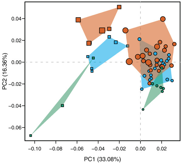 Scatterplot of morphospace depicted by PC1 vs PC2.