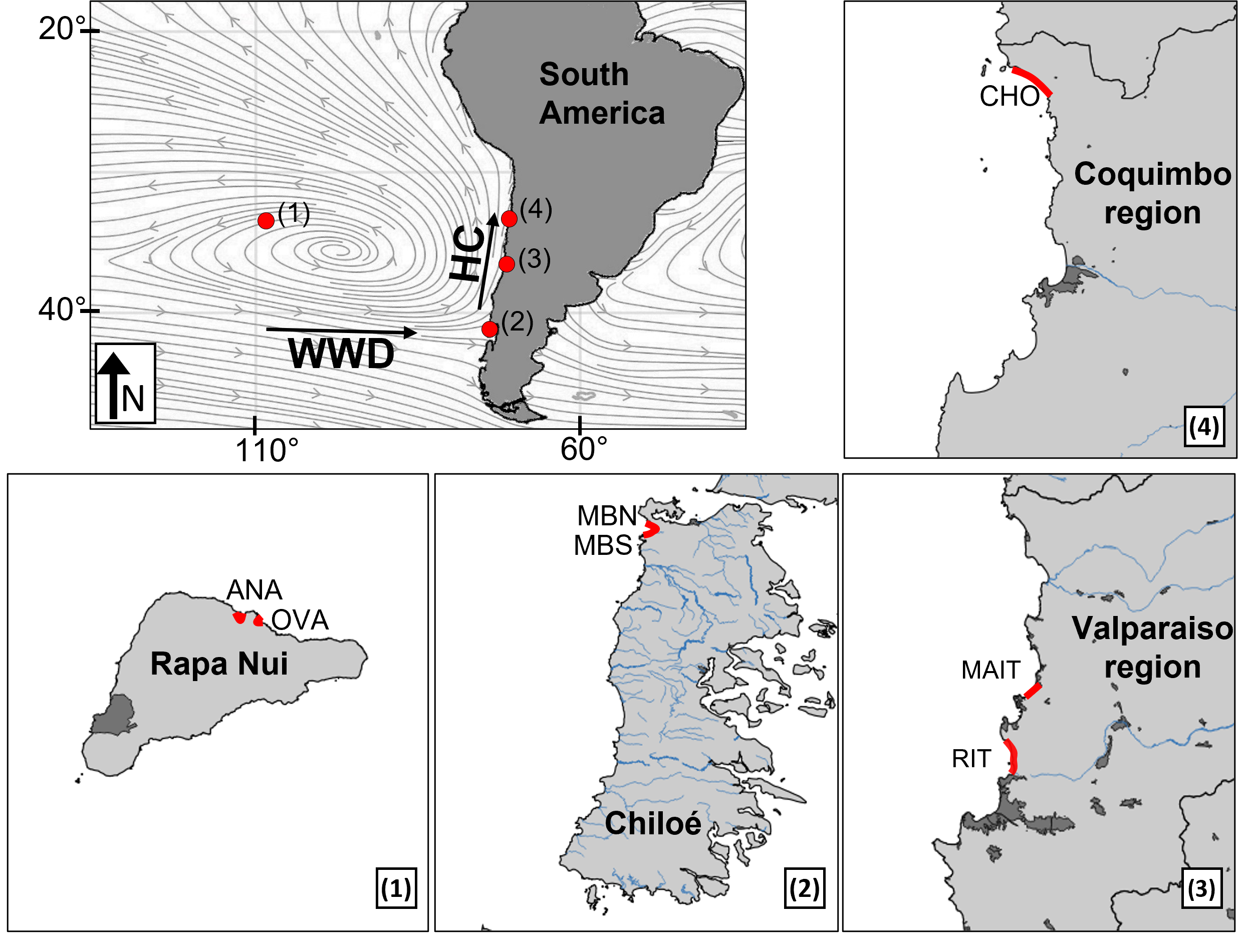 Front Matter, North American Continent-Ocean Transects Program