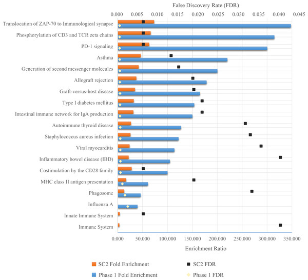 Enriched pathways as a result of over-representation analysis using intersecting genes from SC-2 and phase 1.