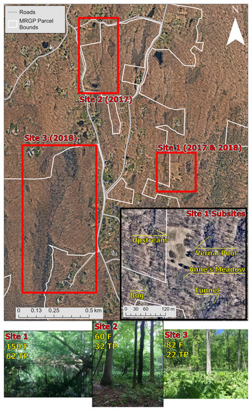 Map and pictures of sampling locations.