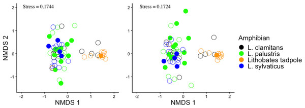 Bray-Curtis and jaccard dissimilarity matrix NMDS plots of amphibian skin bacterial communities.