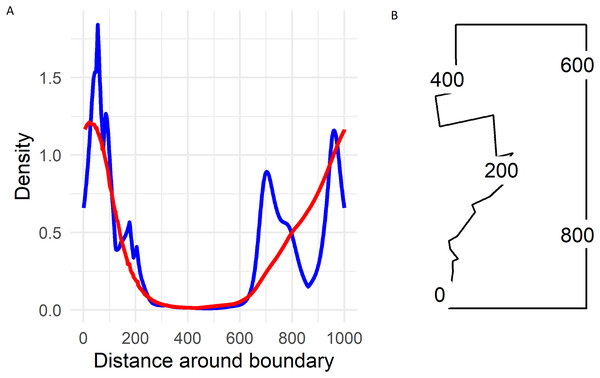 (A) Predicted Hawai‘i ‘Ākepa Loxops coccineus densities (birds ha−1) along the boundary for the 2002 dataset using the soap film (red) and TPRS (blue) smoother. (B) Location of distance around the soap film boundary (point 0 and 1,000 are at the same location).