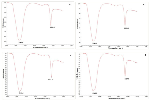 Fourier transform infrared spectroscopy analysis: (A & B) uninoculated and inoculated C. arietinumPBG5 and (C & D) uninoculated and inoculated C. pinnatifidum188 leaf samples.
