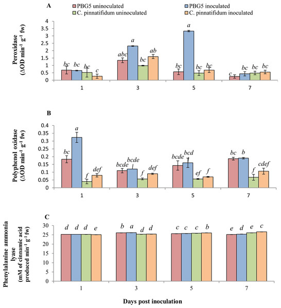 (A) Peroxidase, (B) polyphenol oxidase, and (C) phenylalanine ammonia-lyase activities in leaves of chickpea genotype PBG5 (susceptible) and C. pinnatifidum (resistant) uninoculated and inoculated with B. cinerea.