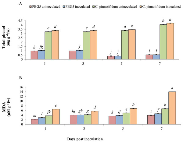 (A) H2O2, (B) proline, (C) ascorbic acid and (D) glutathione content in leaves of chickpea genotype C. arietinumPBG5 (susceptible) and C. pinnatifidum188 (resistant) uninoculated and inoculated with B. cinerea.