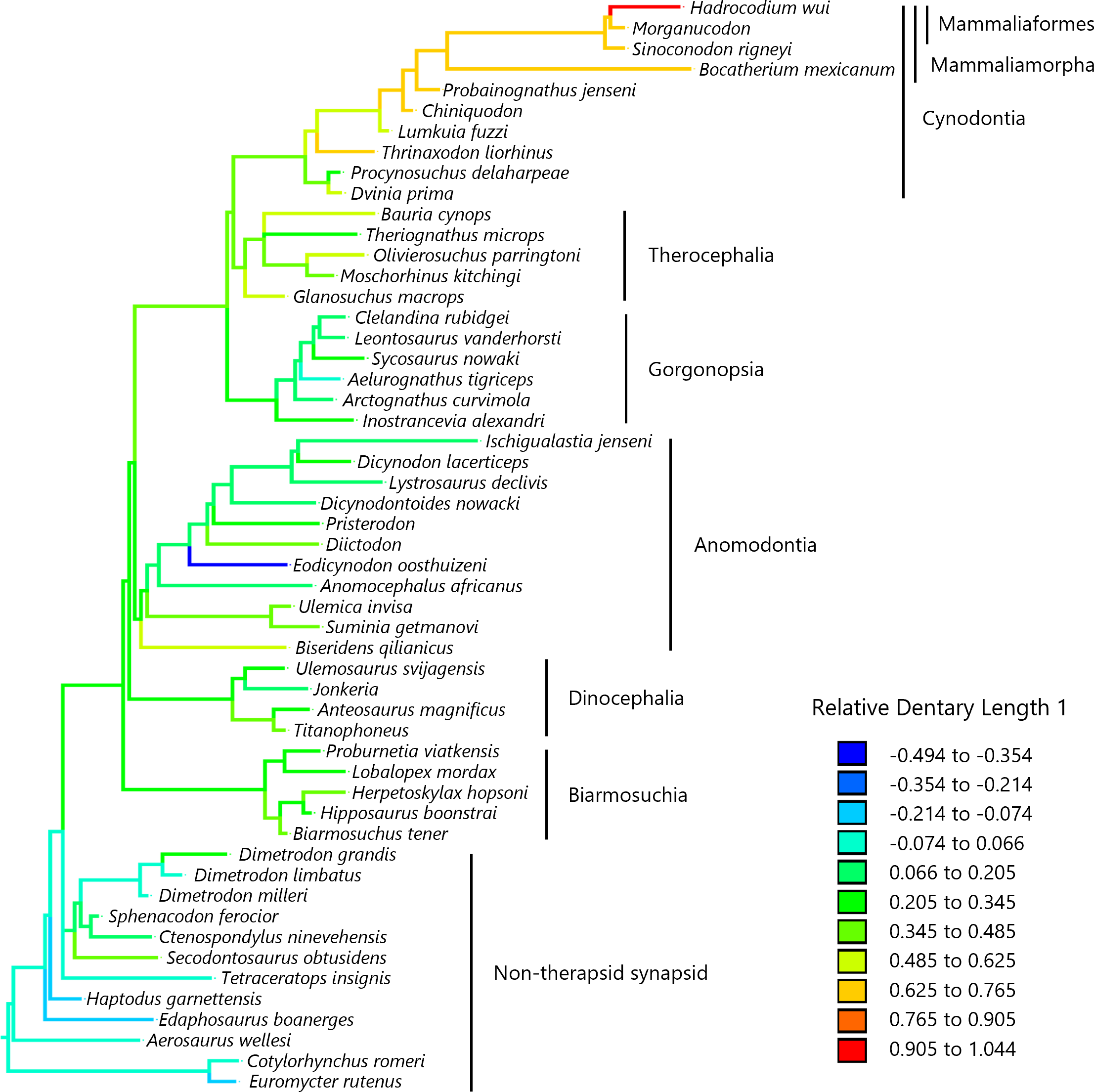 Revisiting the evolutionary trend toward the mammalian lower jaw in non ...