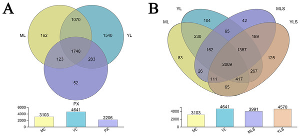 Distribution of bacterial OTU number in L. chuanxiong and its corresponding soil.