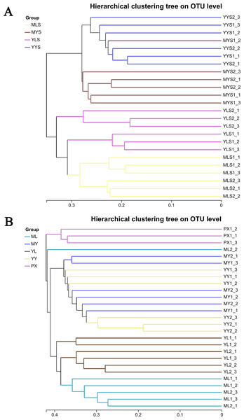 Hierarchical cluster analysis of L. chuanxiong and soil samples.